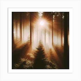 Misty Forest Art Print