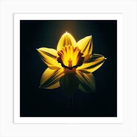 Daffodil Art Print