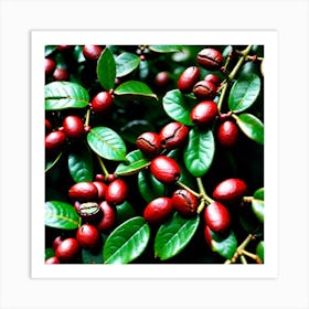 Coffee Berries 2 Art Print