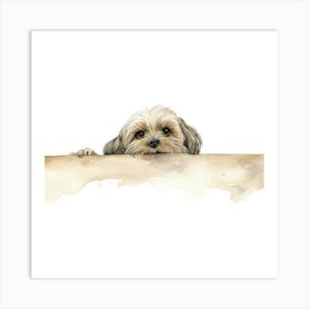 Shih Tzu Dog 1 Art Print