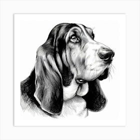 Basset hound dog Art Print