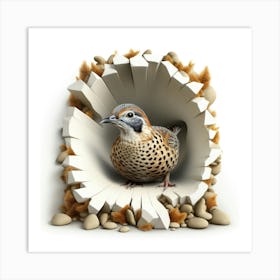 Quail Peeking Through A Hole 3 Art Print