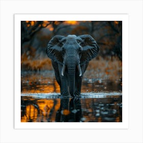 Elephant At Sunset Art Print