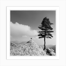 Lone Tree Art Print