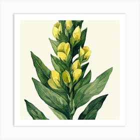 Yellow Lily Art Print