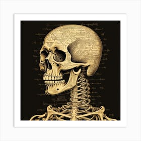 Anatomy Of The Human Skeleton Art Print