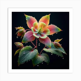 Flower With Water Droplets Art Print