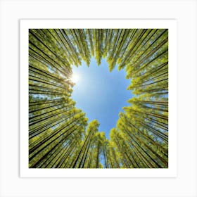 Heart Shaped Bamboo Forest 1 Art Print