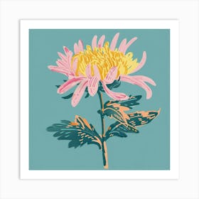 Chrysanthemum 2 Square Flower Illustration Art Print