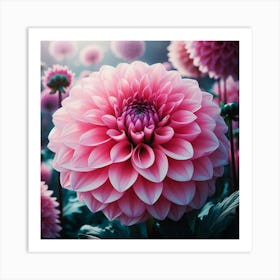 Large pink Dahlia flower 3 Art Print