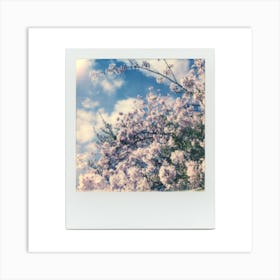 Polaroid Cherry Blossom 01 Art Print