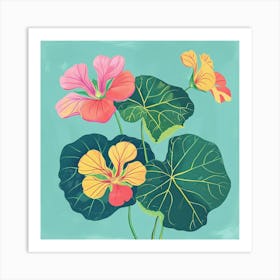 Nasturtium 1 Square Flower Illustration Art Print