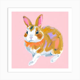 Netherland Dwarf Rabbit 03 Art Print