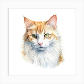 Turkish Van Cat Portrait 1 Art Print