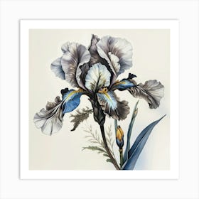 Flower Blossom Bloom Art Print