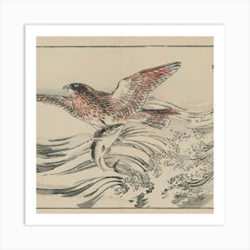 Hawk And Fish 1 Art Print