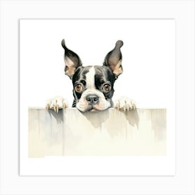 Boston Terrier Art Print