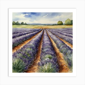 Lavender Field 1 Art Print