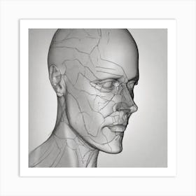 Anatomy Of The Human Face Art Print