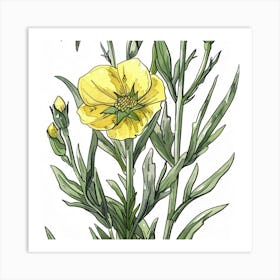 Yellow Poppy Art Print