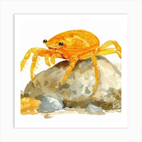 Orange Crab Art Print