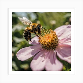 Bee On A Flower 5 Art Print