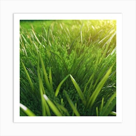 Grass 3 Art Print