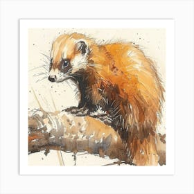 Editorial Art White Background Ferret Art Print