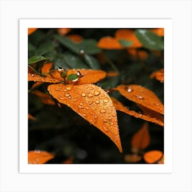 Raindrops On Orange Leaves 1 Art Print