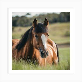 Horse In The Grass 1 Art Print