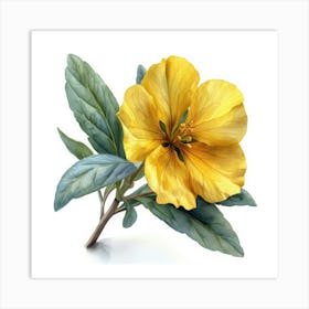 Yellow Hibiscus Affiche