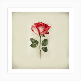 Red Rose 4 Art Print