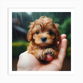 Puppy In Rain 1 Art Print