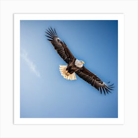 A Stunning Shot Of A Majestic Eagle Soaring Through The Sky With Its Wings Fully Spread And Sharp Ey 4162562470 Art Print