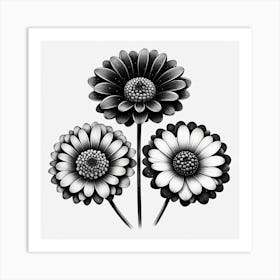 Black and white flowers 4 Art Print