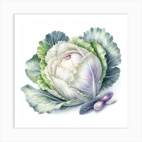 White cabbage 3 Art Print