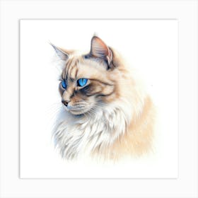 Carmel Snow Cat Portrait Art Print