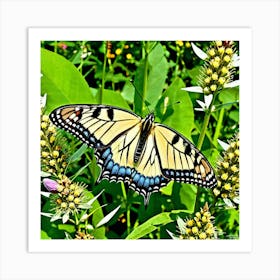Butterflies Insect Lepidoptera Wings Antenna Colorful Flutter Nectar Pollen Metamorphosis (8) Art Print