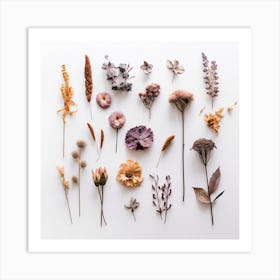 Dried Wild Flowers 8 Art Print