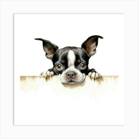 Boston Terrier 1 Art Print