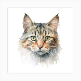 Foldex Cat Portrait 3 Art Print