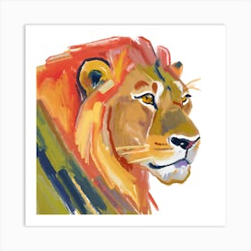 Asiatic Lion 04 Art Print