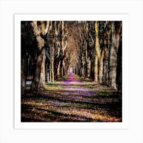 Crocus Road Art Print