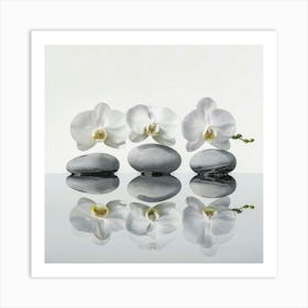 Three Orchids On Rocks Art Print