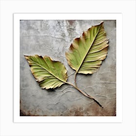 Aging leaf 8 Art Print