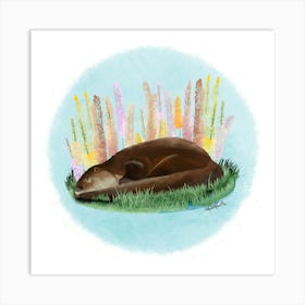 Otter/Loutre Art Print