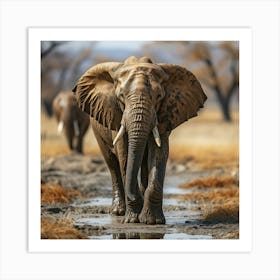 Two Elephants Walking Through A Puddle Art Print