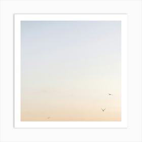 Three Gulls at Sunset Art Print