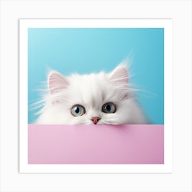 White Persian Cat Peeking Out Of A Pink Box Art Print