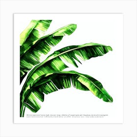 Lively Leaves Affiche